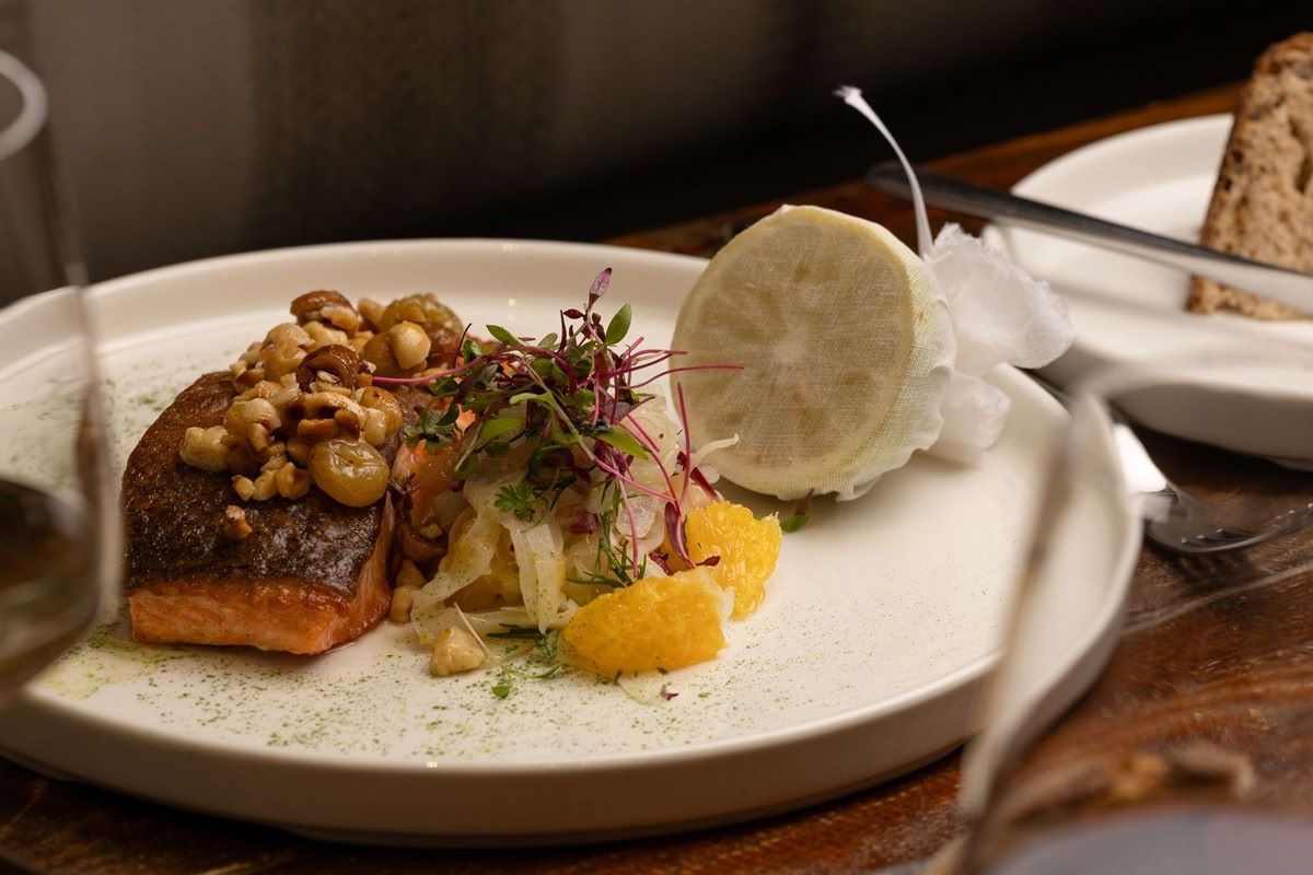 Caxton Drill fresh fish