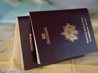 French passport
