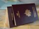French passport