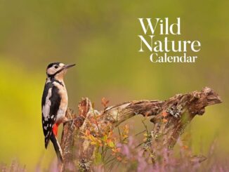Wild Nature Calendar 2023