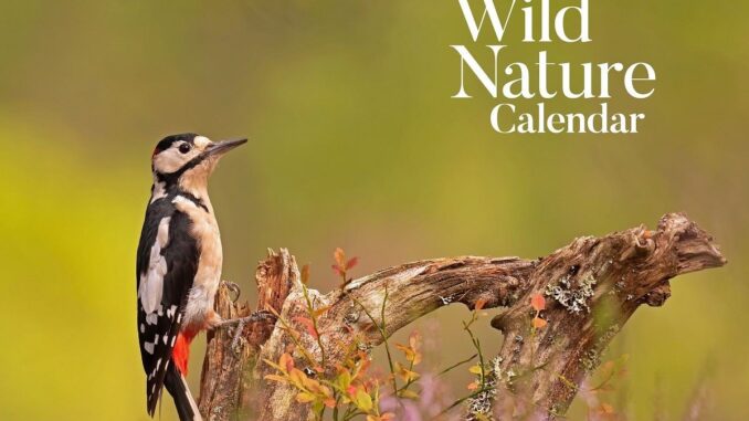 Wild Nature Calendar 2023