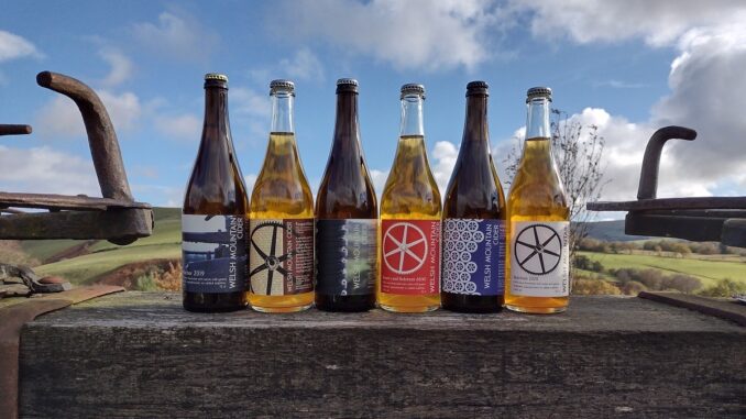 Welsh Mountain Ciders