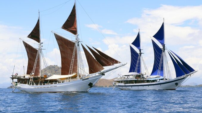 SeaTrek Sailing Adventures Boats