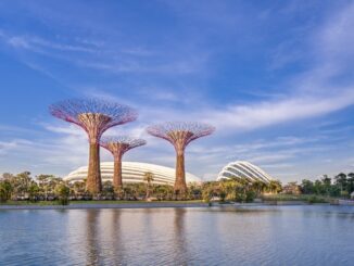 Skytrees at Gardens by the Bay