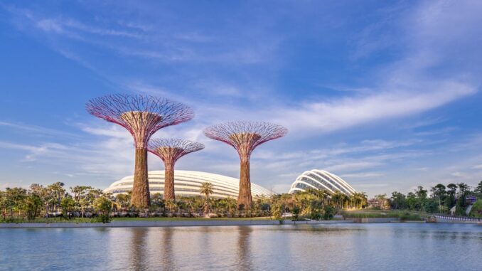 Skytrees at Gardens by the Bay