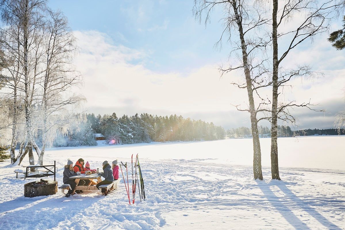 Winter Scene in Småland