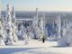 Ylläs - biggest ski resort in Finland