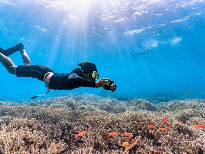 Coral diving