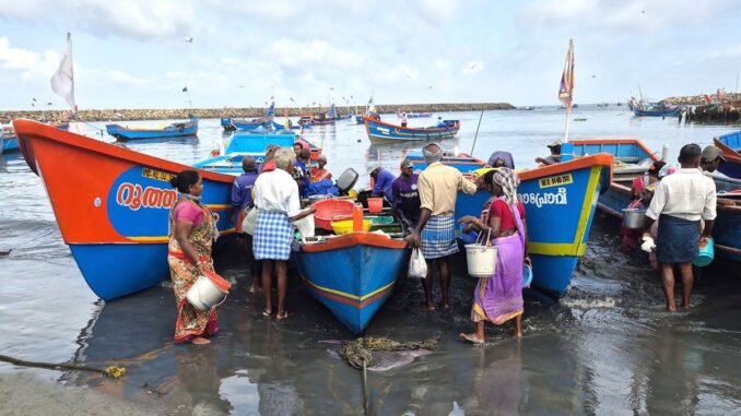 Landing the catch at Chellanam