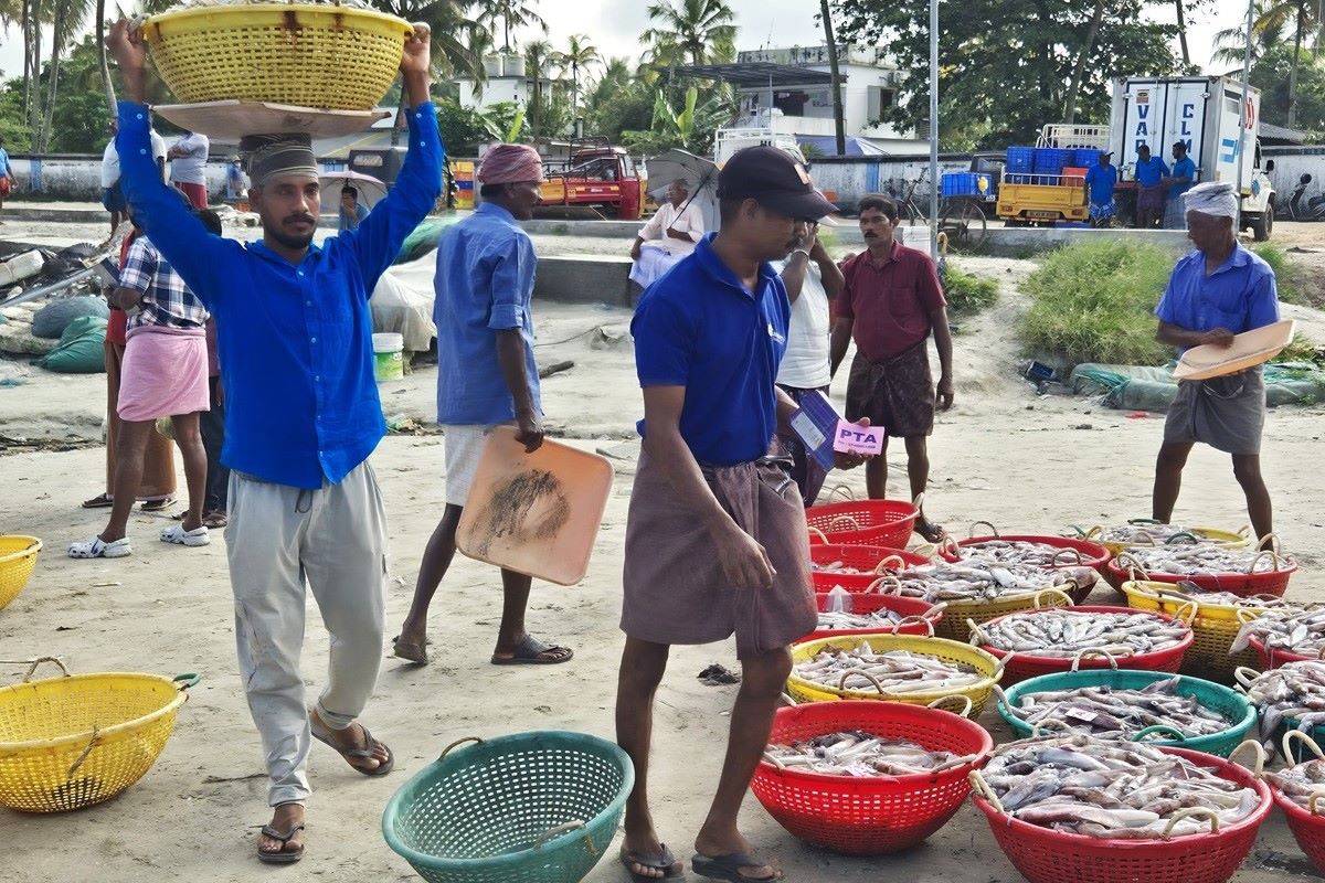 Porter carrying fish on his head