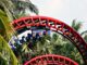 Roller Coaster