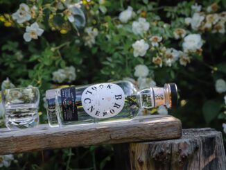 Broken Clock Vodka