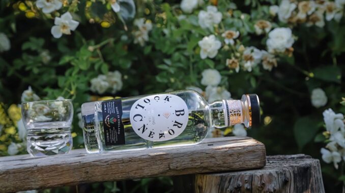 Broken Clock Vodka