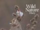 2026 Wild Nature Diary