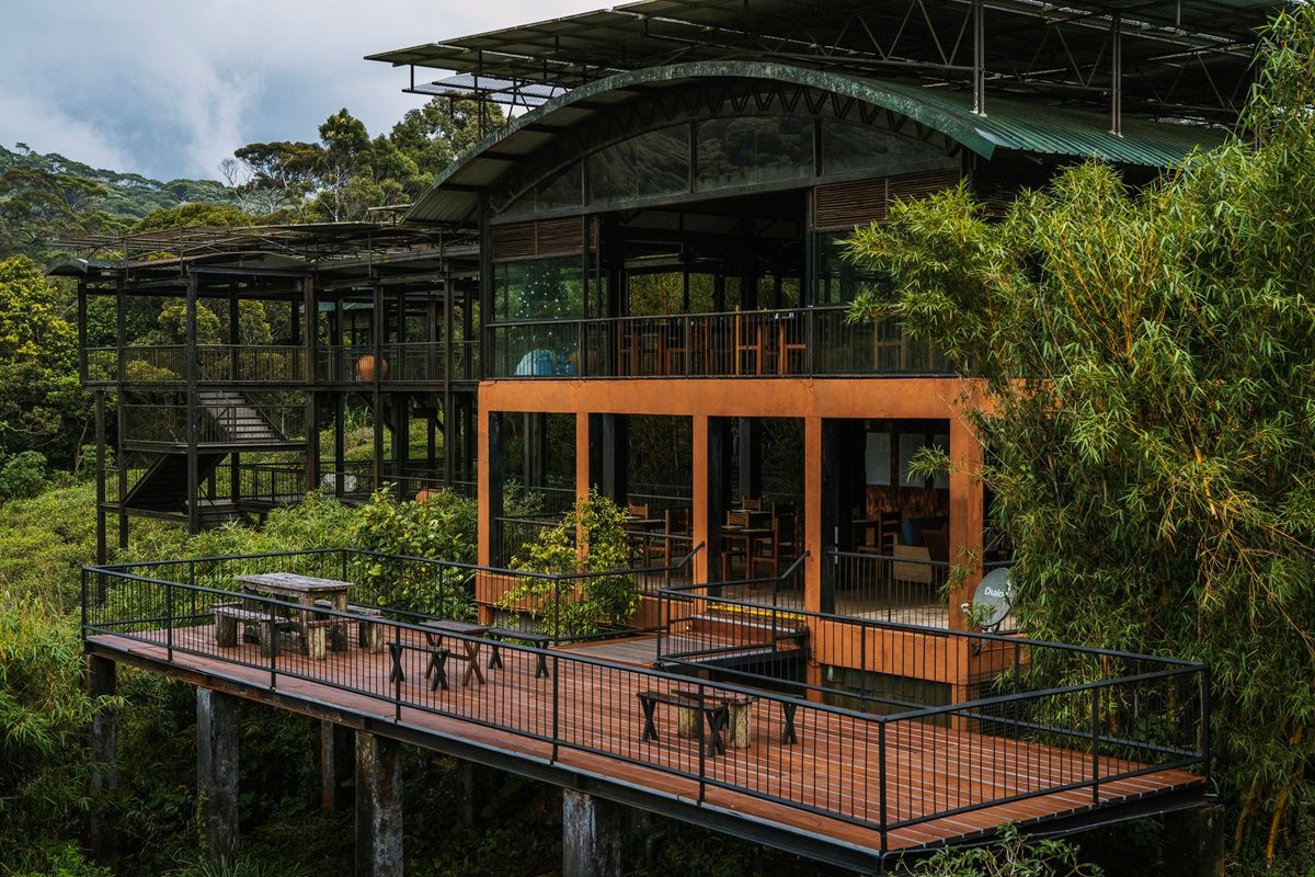 The Rainforest Ecolodge main building