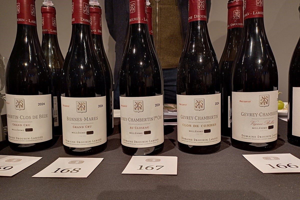 Burgundy 2024 En Primeur tasting