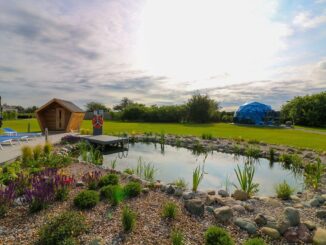 Glass House swimming pond