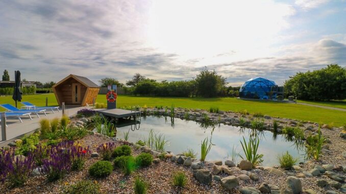 Glass House swimming pond