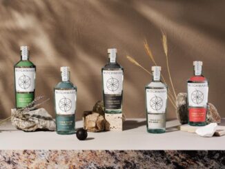 Witchmark Gin Range