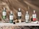 Witchmark Gin Range
