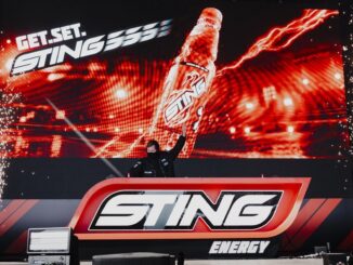 Alan Walker performing The Sting Within Me