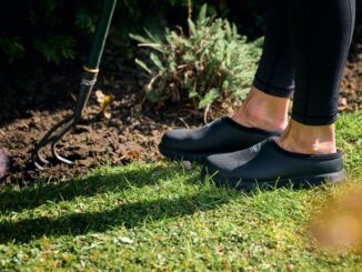 Grubs Waterline Clogs