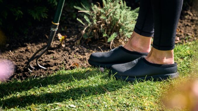 Grubs Waterline Clogs