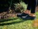 Grubs Waterline Clogs