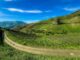 Douro Valley Vineyard