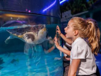 Sea Life Loch Lomond Aquarium Centre