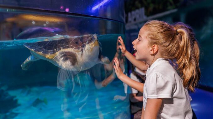 Sea Life Loch Lomond Aquarium Centre