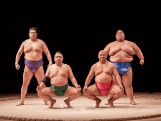 The Sumo Show