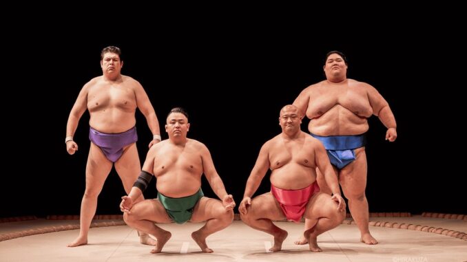 The Sumo Show