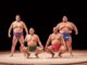 The Sumo Show