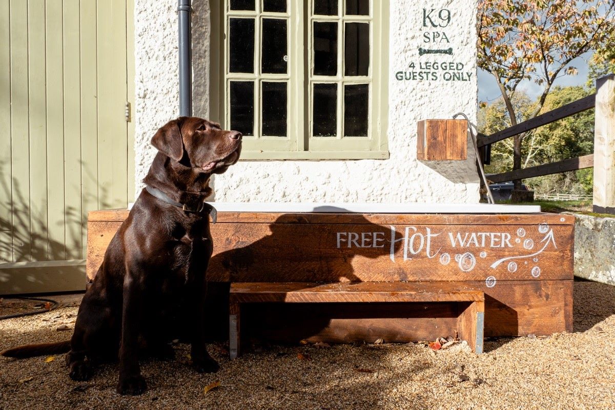 K9 Spa for dogs