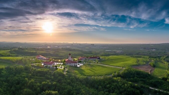 Longting Vineyard Estate in China