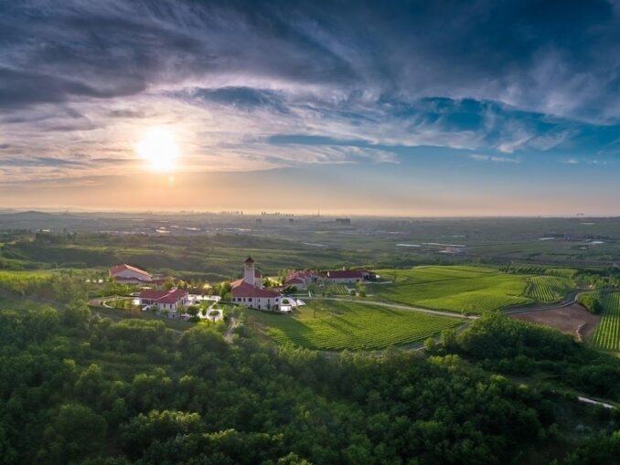 Longting Vineyard Estate in China